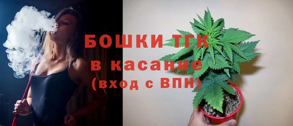 гашик Арсеньев