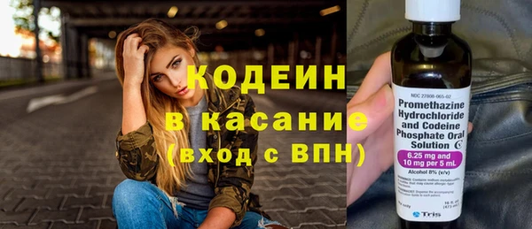 гашик Арсеньев