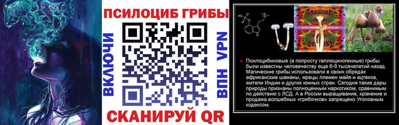 купить  сайты  Карачев  Псилоцибиновые грибы прущие грибы 